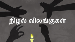 Shadow Animals - Turn on the torch - Tamil Instructional Video