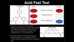 Microbiology: Acid Fast Test Instructional Video