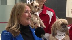 Therapy dog program takes off at St. John’s International Airport News Clip