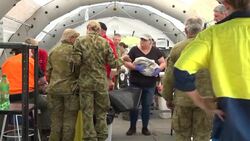 CLEAN : Makeshift koala hospital scrambles to save dozens injured in bushfires News Clip