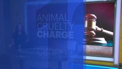 Ulster County pleads guilty to animal torture after 2 years on the run News Clip