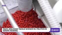 Fauci, Walensky Tackle Questions On COVID At Senate Hearing News Clip