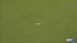 Strong start at the Phoenix Open for Canada's Nick Taylor News Clip