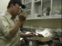 Método científico: resumiendo Instructional Video