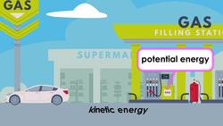 Interconnected Ecosystems Instructional Video