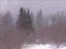 Introduction to Evidence of Change Instructional Video