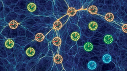 Does Timescapes Disprove Dark Energy? Instructional Video