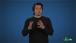 Why Is Autumn More Vivid in New England? Instructional Video