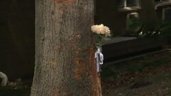 'Scary to see.' Neighbors shocked by fatal Tesla crash into White Plains building Instructional Video