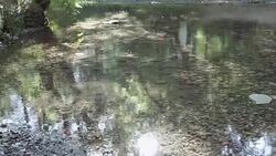 Mountain River streaming,  Transparent Water and stones Stock Footage
