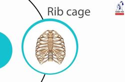 Summary / Human locomotory system Instructional Video