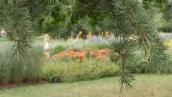 Kew Gardens Heatwave News Clip