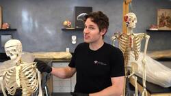 Understanding Back Pain: Causes and Treatment Options Instructional Video