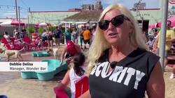 Bar in New Jersey hosts 'yappy hour' for dogs News Clip