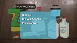 How to Kill Carpenter Ants Instructional Video