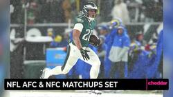 NFL AFC & NFC Matchup Set News Clip