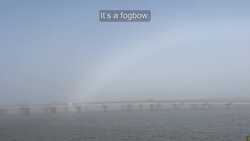 Fogbow Instructional Video