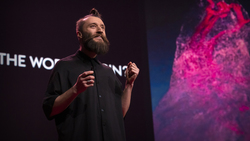 TED: What's it like to be a giant sequoia tree? | Ersin Han Ersin Instructional Video