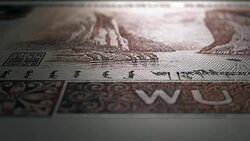 5 Chinese Yuan Reverse Micro Displacement Close Up Macro Stock Footage