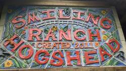 Guerilla Gardeners turn Toxic Soil into Eco-Oasis Instructional Video