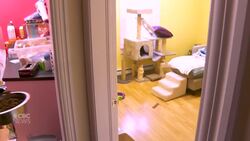 A pet food bank says donations are desperately needed News Clip