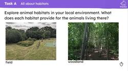 Animal habitats Instructional Video