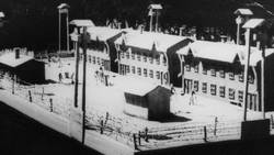 Into the Wild | Everything That Went Wrong for Chris McCandless Instructional Video