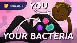 Bacterial DNA & Genetics: Crash Course Biology #38 Instructional Video