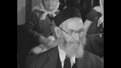 Elderly men playing bridge News Clip