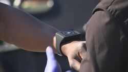 Belgian port to test virus bracelets amid tech tracing fears Instructional Video