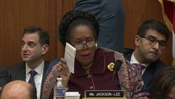 Whitaker doesn't answer 'witch hunt' question Instructional Video