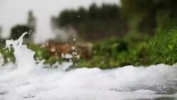 Watering in the field Stock Footage