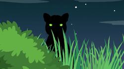 I WONDER - Is A Jaguar A Nocturnal Creature? Instructional Video