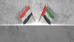 yemeni and UAE Flags Stock Footage