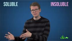 3 Surprising Ways Your Intestines Affect You Instructional Video