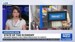 Walmart to adjust prices due to tariff-related costs, CEO says News Clip