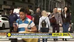 First Severe Human Case Of Bird Flu In US Confirmed News Clip