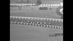 Racehorse "Cavalcade," winner of Kentucky Derby, wins American Derby at Washington Park Race Track in the Chicago area News Clip