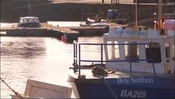 Brexit uncertainty hits UK fishing industry News Clip