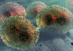 Smallpox: The First Vaccine Instructional Video