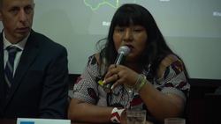 HRW: Criminal networks driving Amazon deforestation News Clip