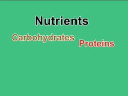Nutrition: Summing Up Instructional Video
