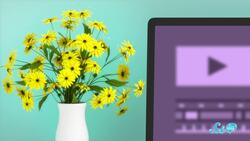 Houseplants Can (Probably) Make You Happier Instructional Video