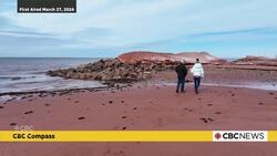 The monumental effort to save West Point Lighthouse: CBC P.E.I. Looking Back News Clip