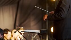 I WONDER - What Job Does The Orchestra Conductor Do? Instructional Video