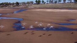 CLEAN : WRAP: A look back at global climate disasters in 2021 News Clip