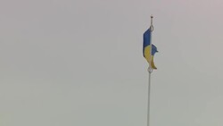 Russia has launched a full-scale invasion on Ukraine News Clip