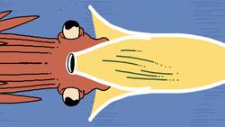 These squids can fly... no, really | Robert Siddall Instructional Video