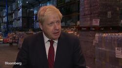 Boris Johnson Denies Claims He Groped Journalist News Clip