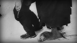 Post-War Rebuilding and the Cold War: Crash Course European History Instructional Video